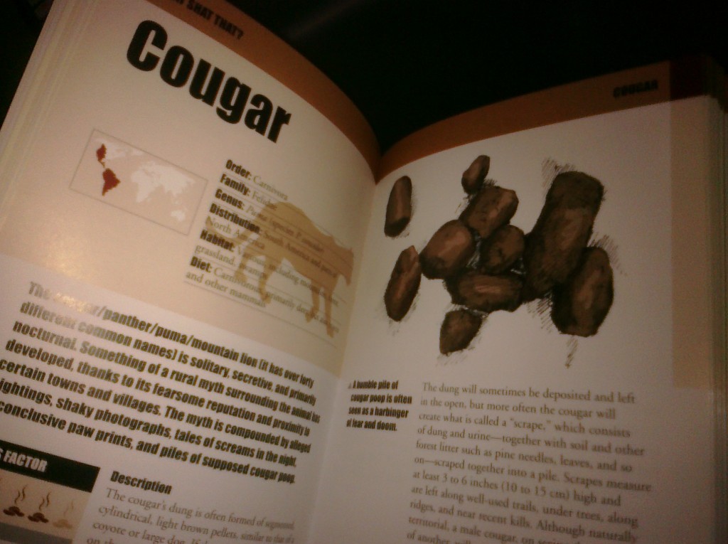 cougar poo