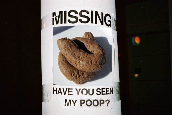 Have you seen my poop?